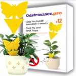 Pułapka lep na owady