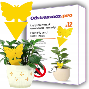Pułapka lep na owady